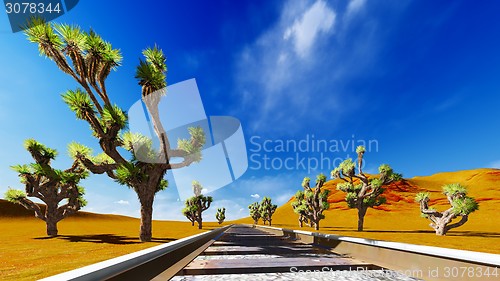 Image of Joshua trees and railroad