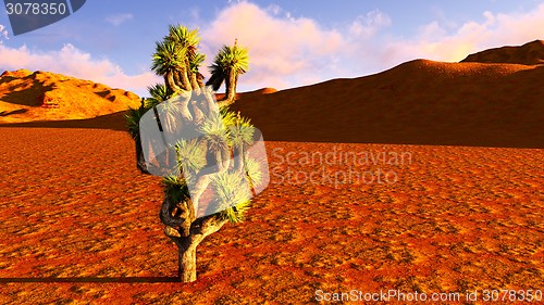 Image of Joshua trees and railroad