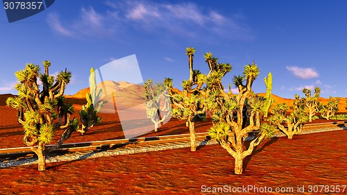 Image of Joshua trees and railroad