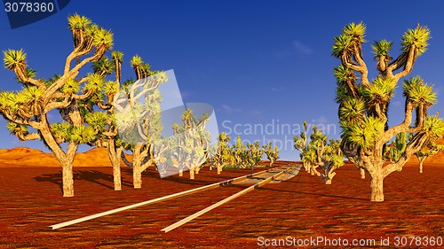 Image of Joshua trees and railroad