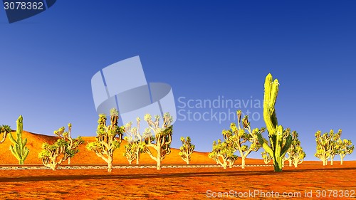 Image of Joshua trees and railroad