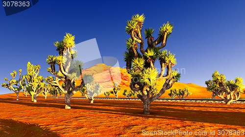 Image of Joshua trees and railroad