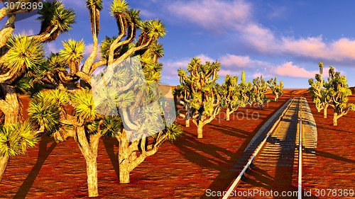 Image of Joshua trees and railroad