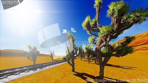 Image of Joshua trees and railroad