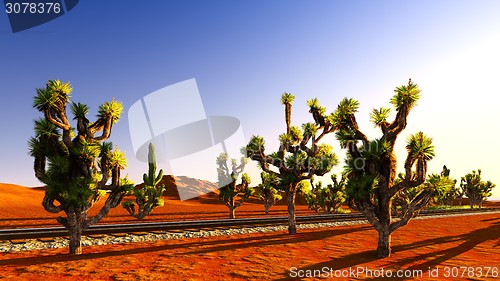 Image of Joshua trees and railroad