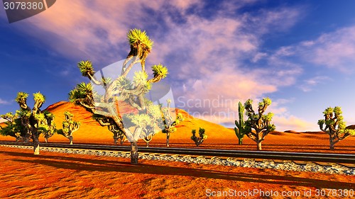 Image of Joshua trees and railroad