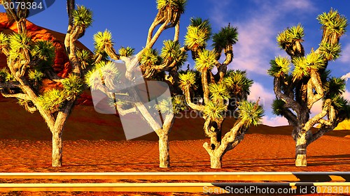 Image of Joshua trees and railroad