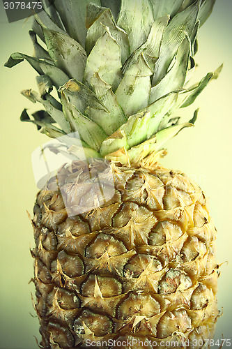 Image of Ripe pineapple