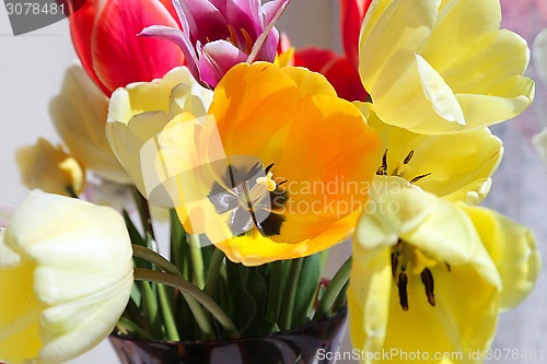 Image of Bouquet of colorful spring tulips