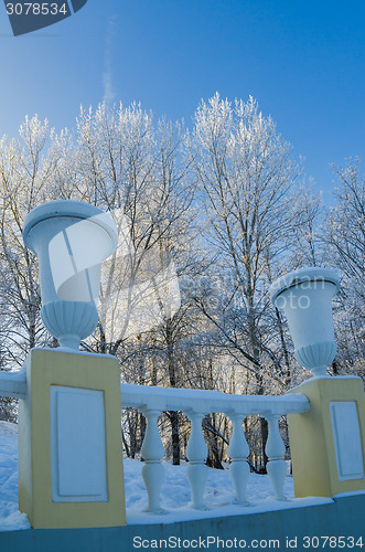 Image of A beautiful city park with trees covered with hoarfrost