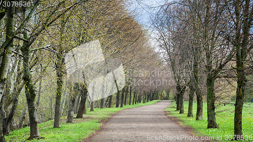 Image of Alley in Spring Park