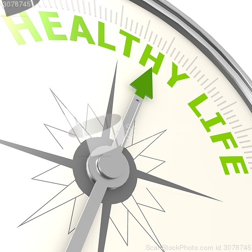 Image of Healthy life compass