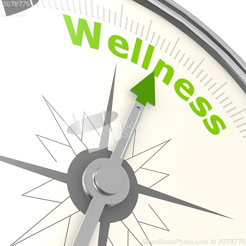 Image of Wellness compass