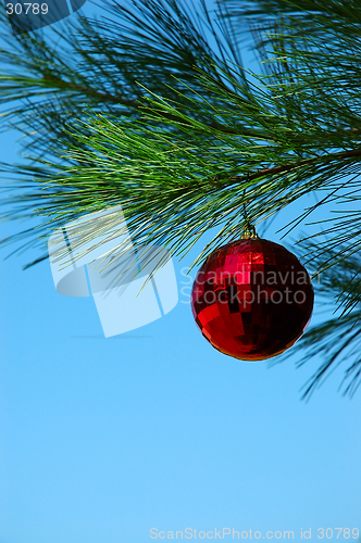 Image of Christmas Ornament