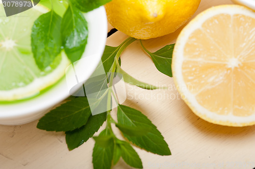 Image of mint infusion tea tisane with lemon