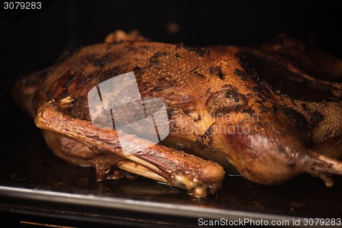 Image of roasted goose 