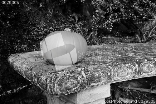 Image of Small gourd on a stone bench