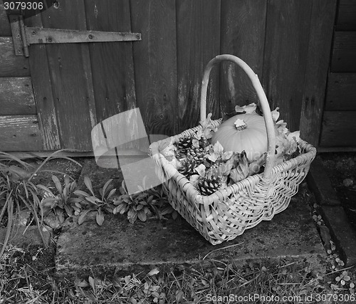 Image of Basket with pumpkin, dry leaves and fir cones on a rustic step