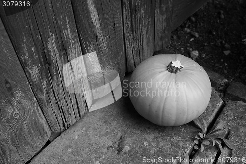 Image of Ripe pumpkin by a weathered door