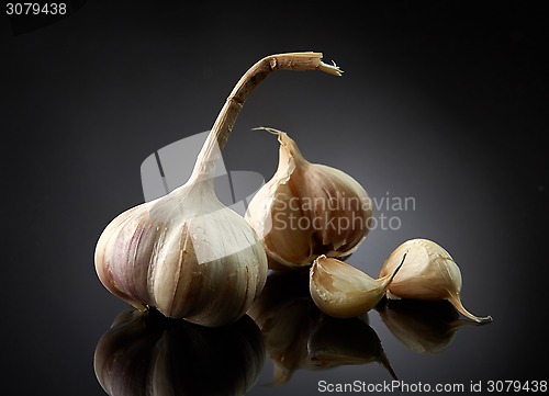 Image of garlic on black background