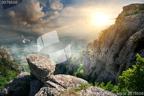 Image of Birds and rocks