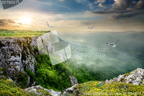 Image of Birds over plateau