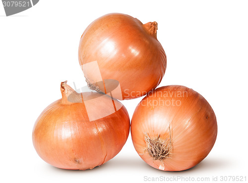 Image of Fresh Golden Onions