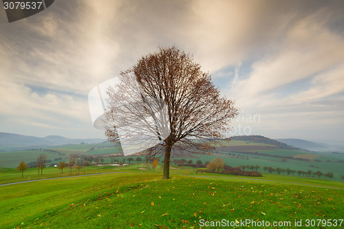 Image of Autumn scenery on a golf course