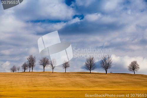 Image of Autumn scenery on a golf course