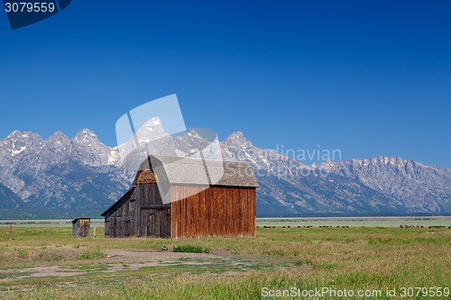 Image of On the iconic John Moulton farm