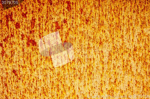 Image of Rusty