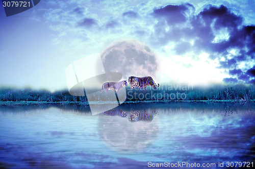 Image of Forest river with tiger isolate on dark cloudy and moon background