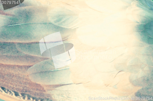 Image of Abstract feather background