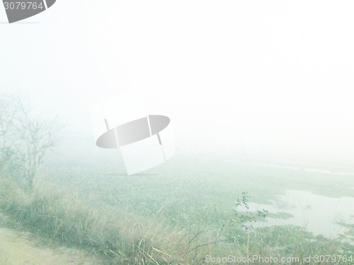 Image of Day winter sun in the village pond landscape