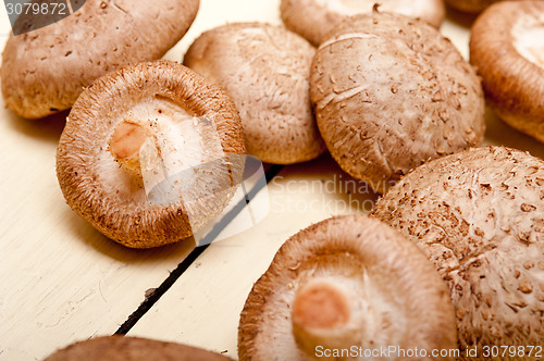 Image of shiitake mushrooms