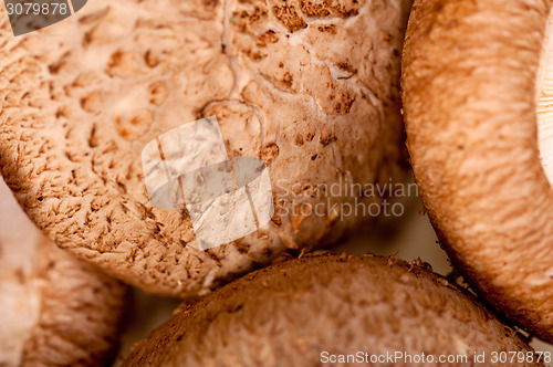 Image of shiitake mushrooms