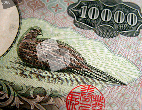 Image of 10000 Yen Texture