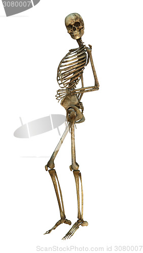 Image of Smiling Skeleton