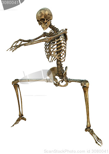 Image of Dancing Skeleton