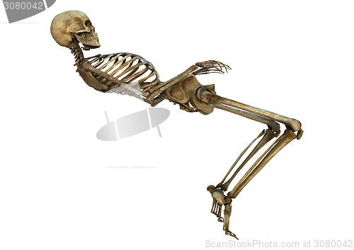 Image of Dancing Skeleton