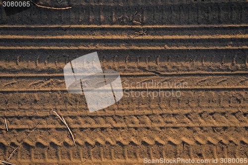 Image of Dry soil background in warm colors