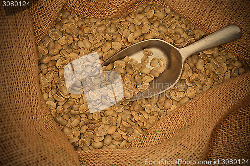 Image of raw coffee beans