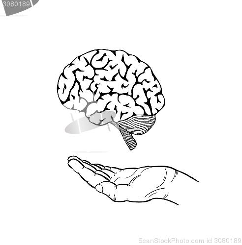 Image of human brain and hand