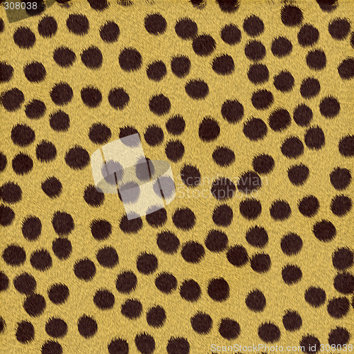 Image of Cheetah Fur