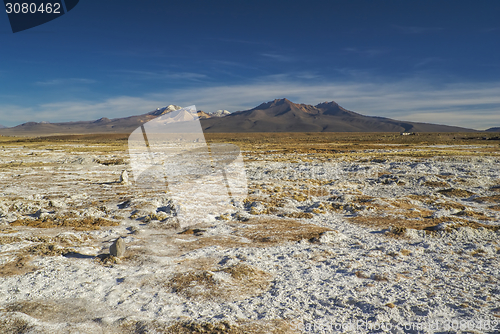 Image of Sajama