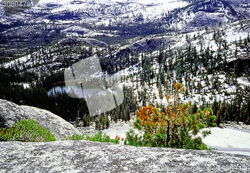 Image of Yosemite National Park