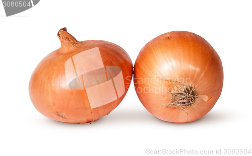 Image of Two Fresh Golden Onions