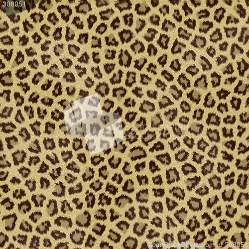 Image of Leopard Fur