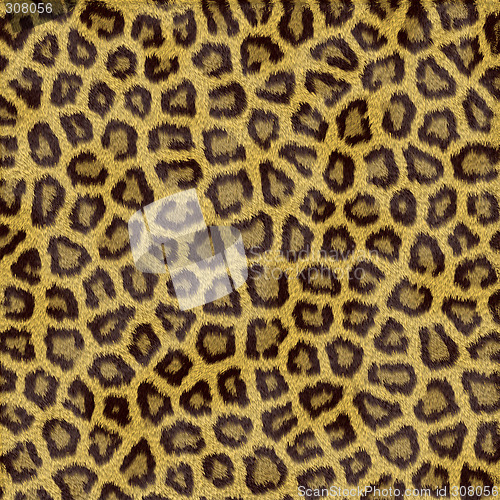Image of Leopard Fur