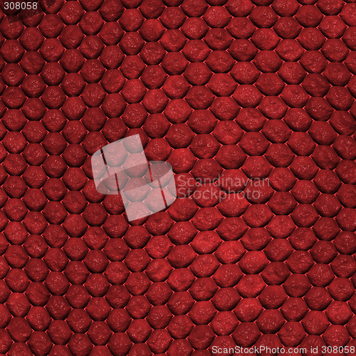 Image of Red Dragon Skin